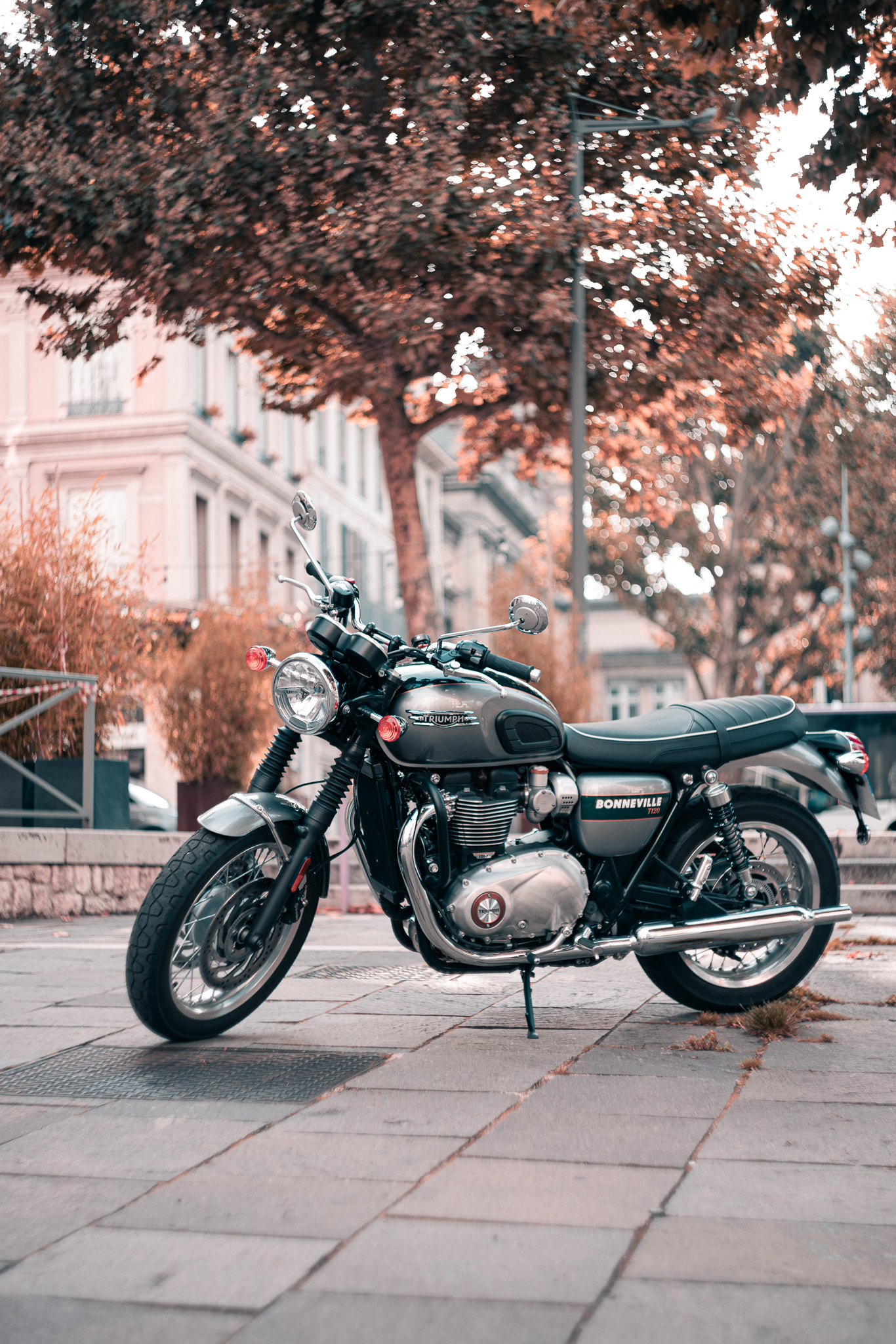 Bonneville T120 // Rouen