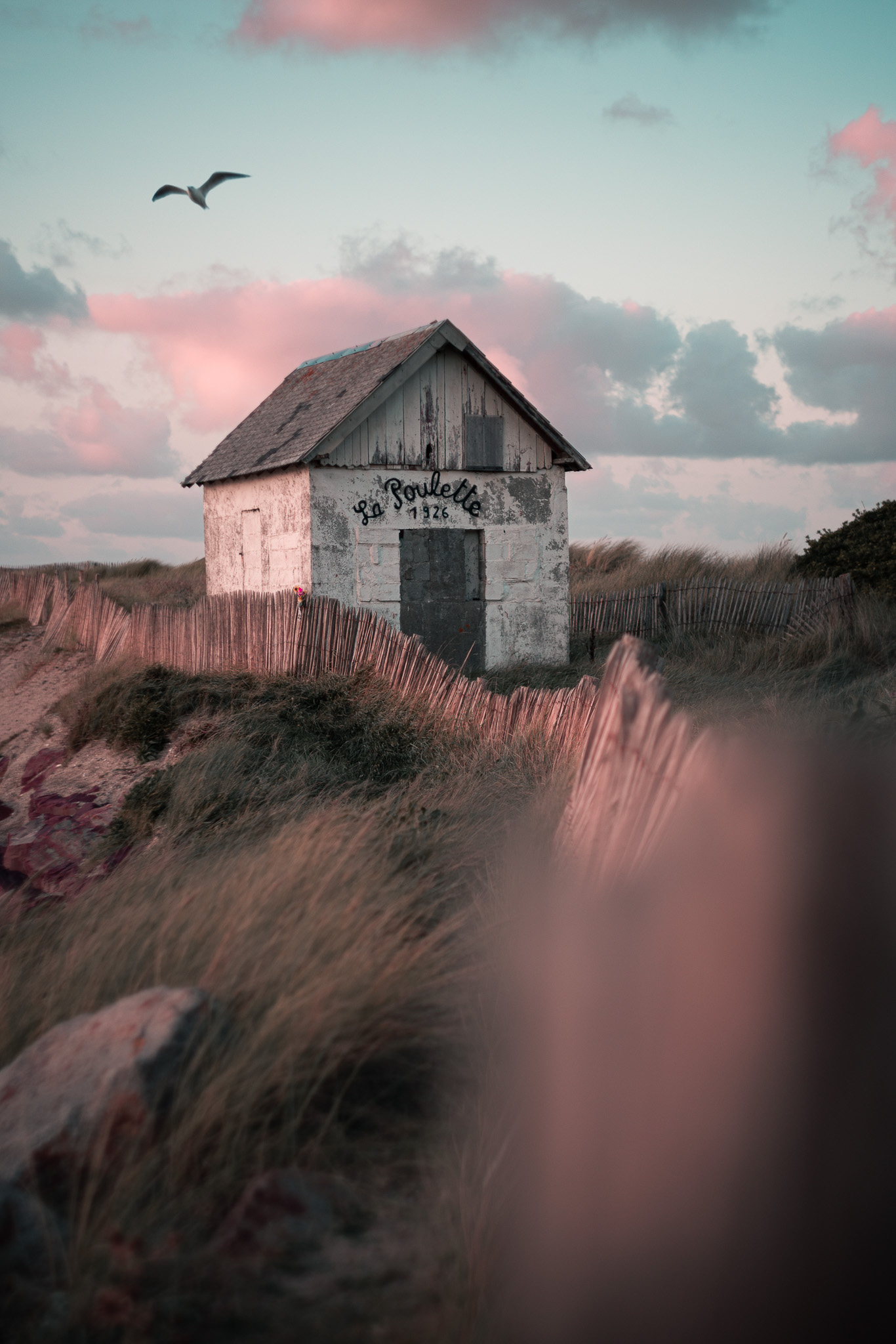 La poulette // Cotentin